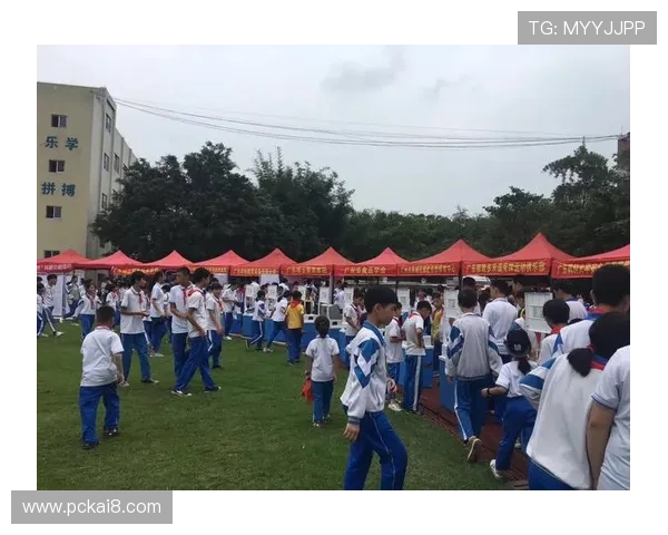 K8天生赢家：利用科技与创新助力青少年实现梦想的实用指南