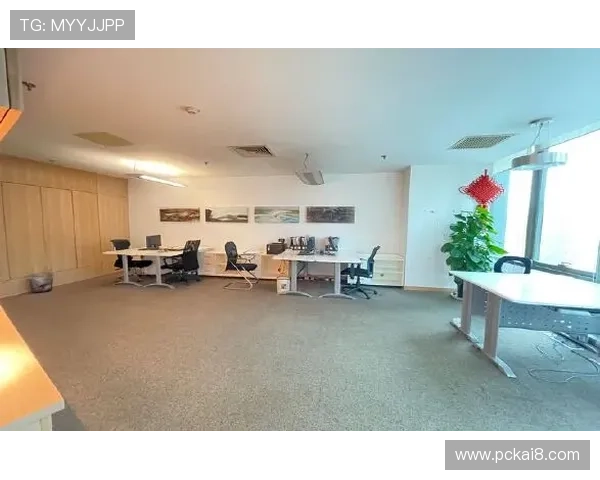 凯发线上登陆多种支付方式，方便快捷保障资金安全