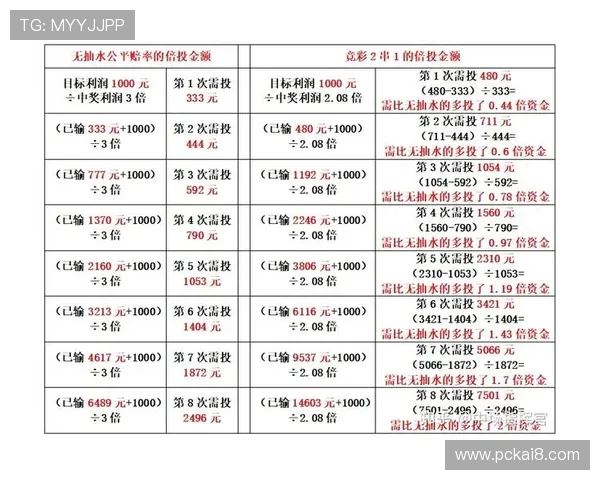 深入分析K8电子游戏的赔率机制帮助玩家合理投注